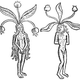 Illustration for article titled How Do Fictional Poisons Stack Up To Real-Life Ones?